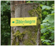 Das erste Highlight k�ndigt sich an