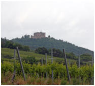 Blick auf das Hambacher Schloss