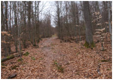Ein sch�ner leicht ansteigender Wanderweg