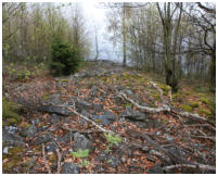 Die �berreste des Ringwalls stammen wahrscheinlich aus dem 9. Jh. n. Chr.