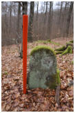 Mitten im Wald ist ein historischer Grenzstein versteckt