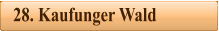 28. Kaufunger Wald