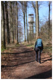 Durch den Wald geht es zum Gipfel Hohes Gras