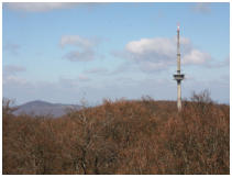 ... ebenso der Fernmeldeturm auf dem Essigberg