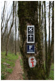 Auf geht`s durch den Wald