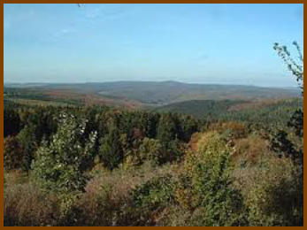 Blick auf den Reinhardswald