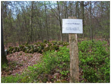 Hier wird dem Forstmeister Pauli mit einer Grotte gedacht