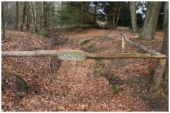 An der Quelle der Holzape